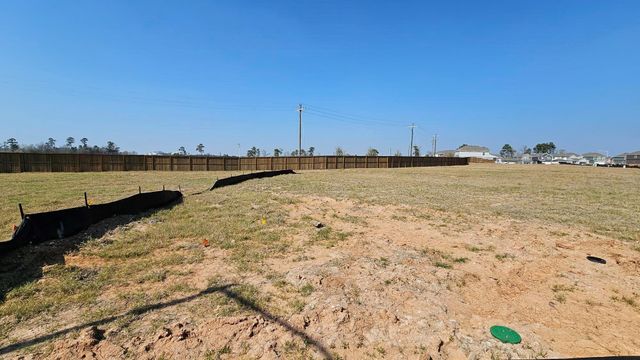 13911 Lion Rock Court, Willis, TX 77318