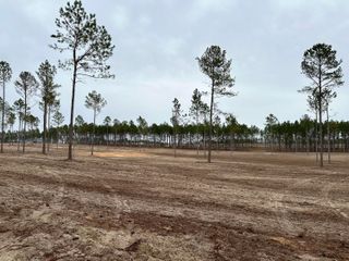 00/Lot 4 Cooks Bridge Rd, Aiken, SC 29805