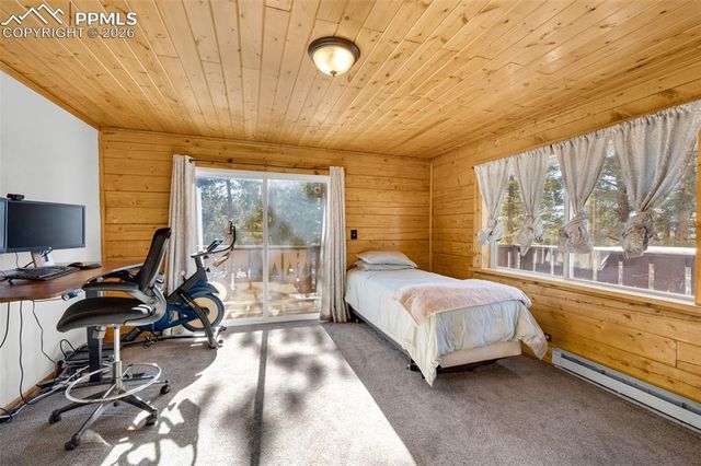 1276 Pinewood Road, Florissant, CO 80816