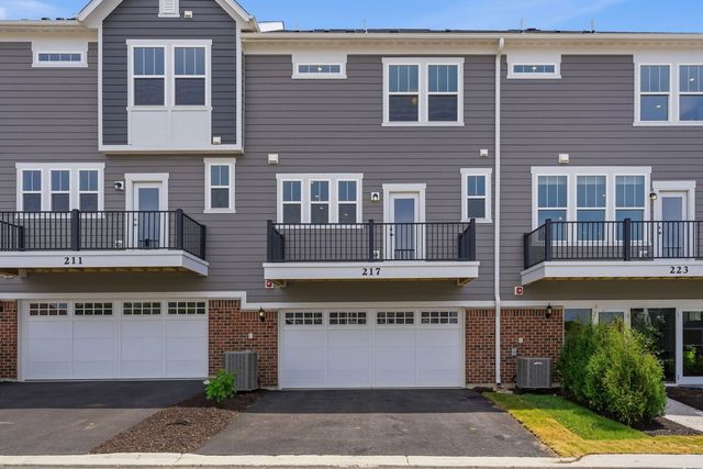 217 Steeple Bush Lane 10242, Schaumburg, IL 60193