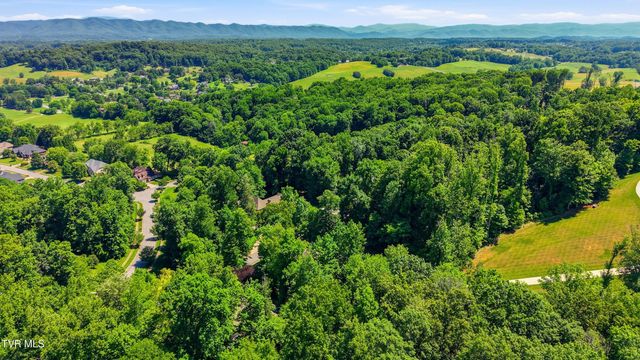412 Shade Tree Way, Johnson City, TN 37604