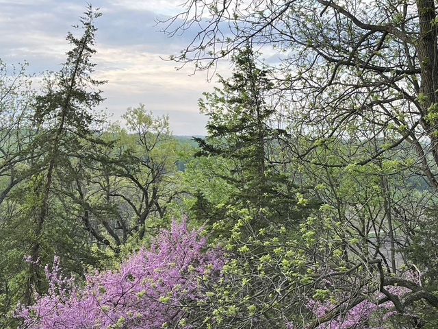 9401 Kahl Road, Black Earth, WI 53515