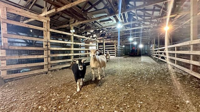 13585 Andy Jack Road, Rogers, AR 72756