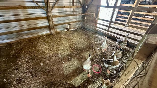13585 Andy Jack Road, Rogers, AR 72756