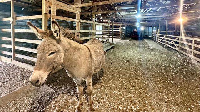 13585 Andy Jack Road, Rogers, AR 72756