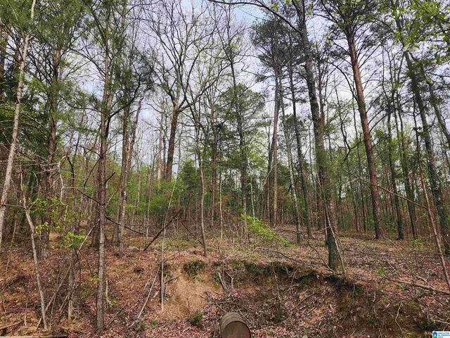 8452 HIGHWAY 119, Alabaster, AL 35007