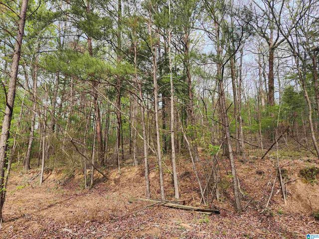 8452 HIGHWAY 119, Alabaster, AL 35007