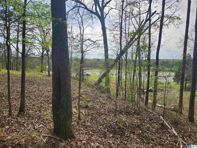 8452 HIGHWAY 119, Alabaster, AL 35007