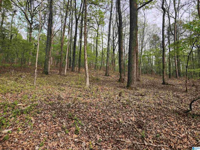 8452 HIGHWAY 119, Alabaster, AL 35007