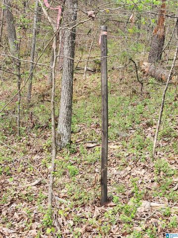 8452 HIGHWAY 119, Alabaster, AL 35007