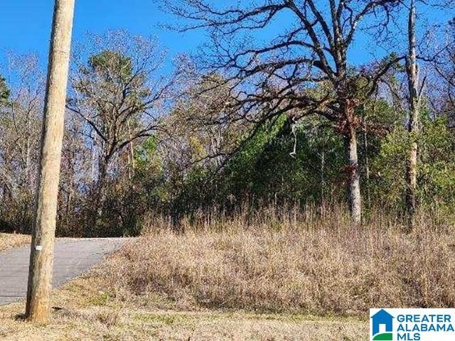 8452 HIGHWAY 119, Alabaster, AL 35007