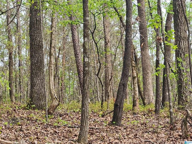 8452 HIGHWAY 119, Alabaster, AL 35007