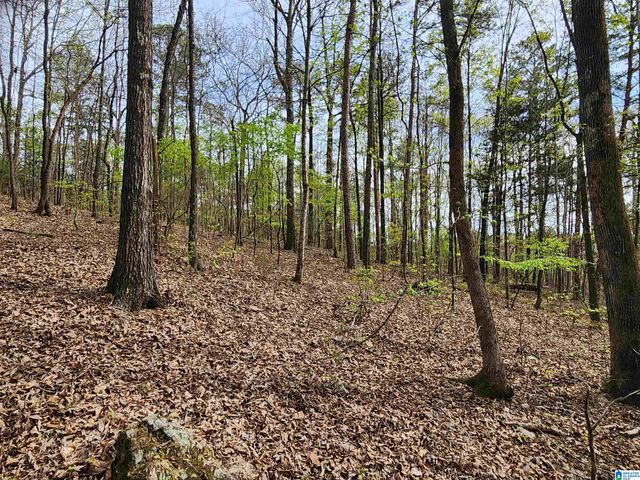 8452 HIGHWAY 119, Alabaster, AL 35007