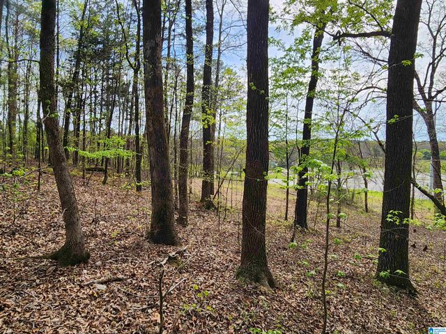 8452 HIGHWAY 119, Alabaster, AL 35007