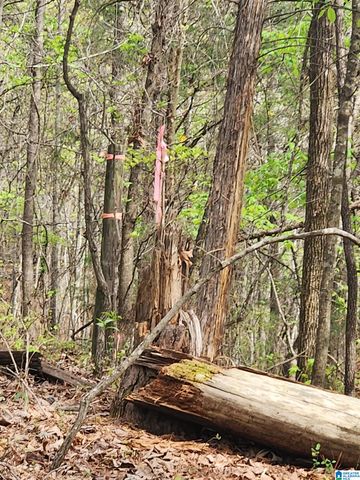 8452 HIGHWAY 119, Alabaster, AL 35007