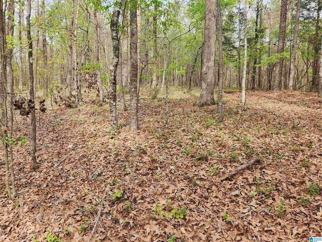 8452 HIGHWAY 119, Alabaster, AL 35007