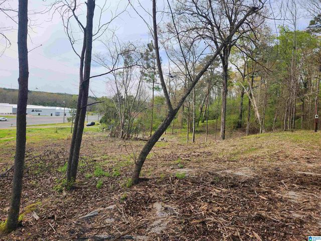 8452 HIGHWAY 119, Alabaster, AL 35007