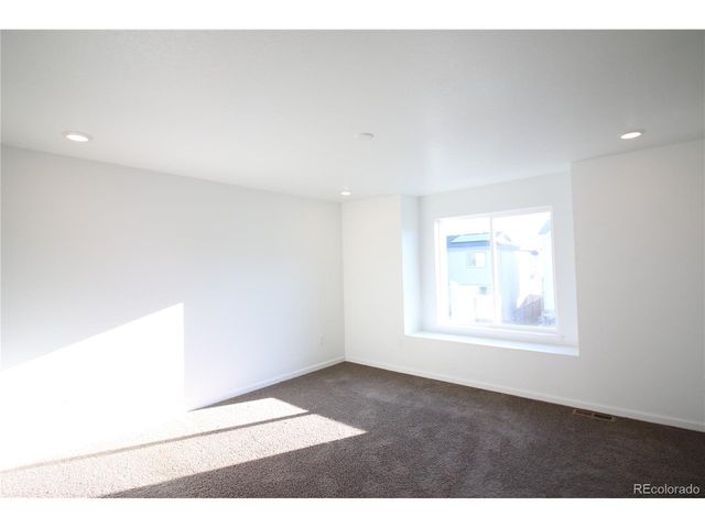 13385 Blue Amber Ct, Parker, CO 80134
