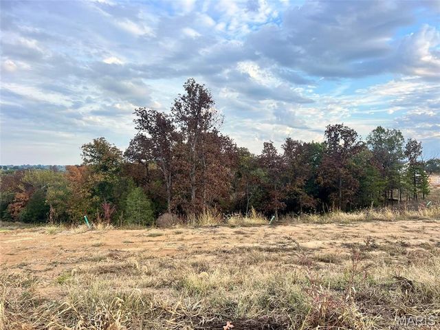 114 Fiddlers Close Road 114 STB, Washington, MO 63090