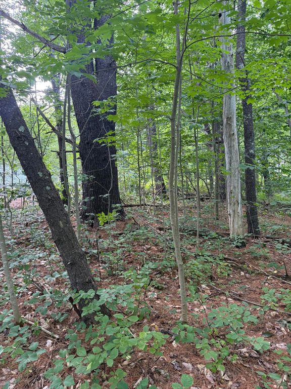 7 Birdsong Lane, Windham, ME 04062 — photo 4