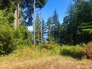 155 Tog Road, Brinnon, WA 98320