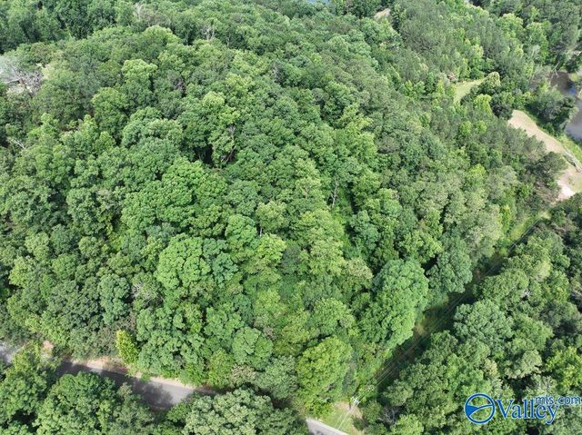 1.09 Acres South Ridge Road, Rainbow City, AL 35906