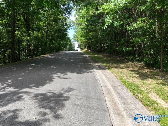 1.09 Acres South Ridge Road, Rainbow City, AL 35906