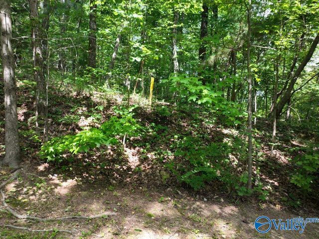 1.09 Acres South Ridge Road, Rainbow City, AL 35906