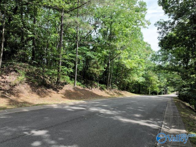 1.09 Acres South Ridge Road, Rainbow City, AL 35906