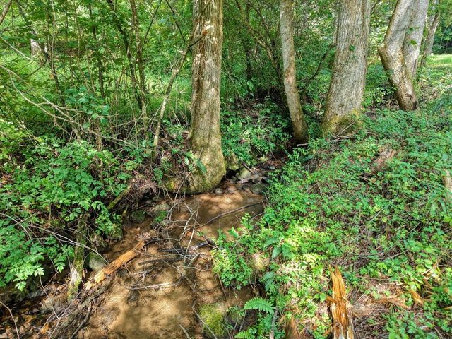 471 Pierce Cove Road, Hiawassee, GA 30546