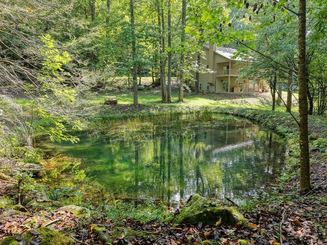 471 Pierce Cove Road, Hiawassee, GA 30546