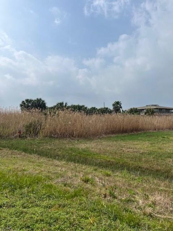 33 Lot 33 Palm Beach, Galveston, TX 77554