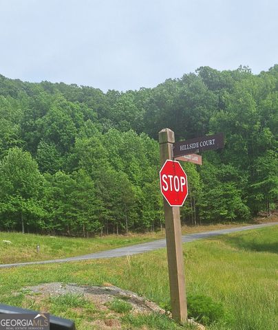 LOT 67 Hillside Court, Morganton, GA 30560