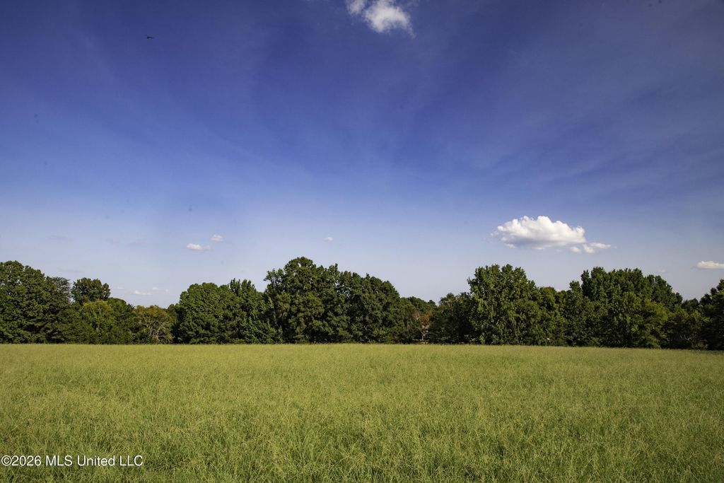5376 Byhalia Road, Hernando, MS 38632 — photo 2