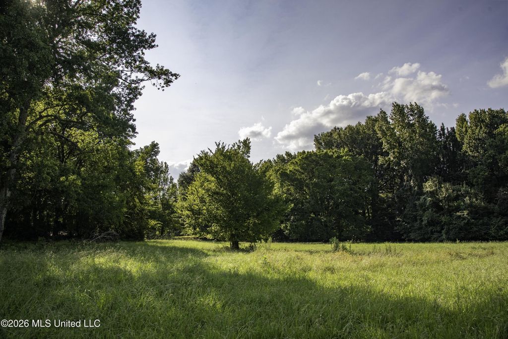 5376 Byhalia Road, Hernando, MS 38632 — photo 5