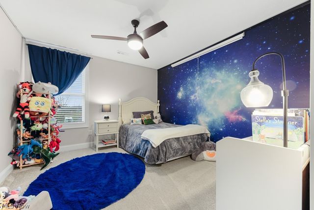 1316 Skyland Falls Boulevard, Hinckley, OH 44233