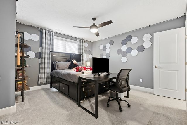 1316 Skyland Falls Boulevard, Hinckley, OH 44233