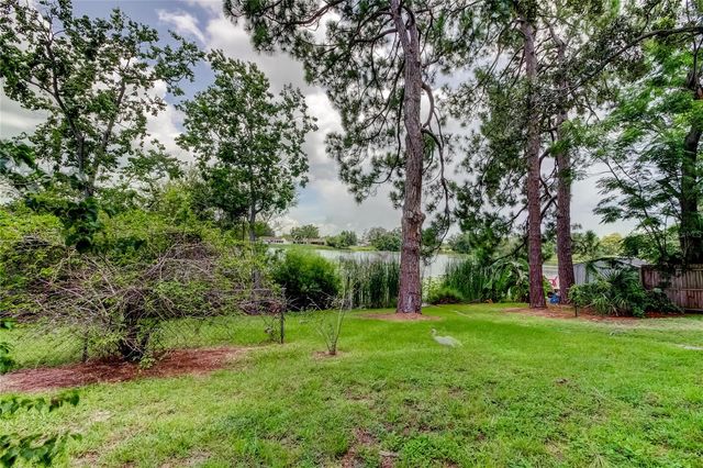 12529 MONDRAGON DRIVE, Tampa, FL 33625