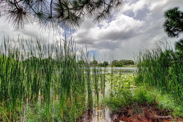 12529 MONDRAGON DRIVE, Tampa, FL 33625