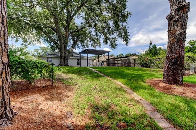 12529 MONDRAGON DRIVE, Tampa, FL 33625