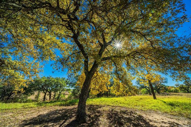 183 Teton Lane, Fredericksburg, TX 78624