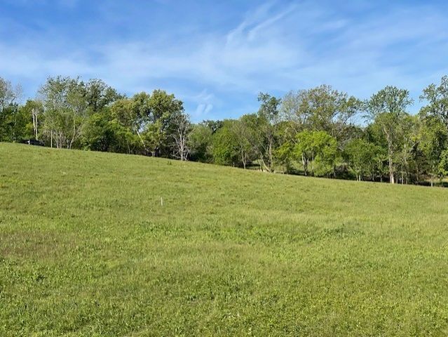 0 Highway 31W, White House, TN 37188