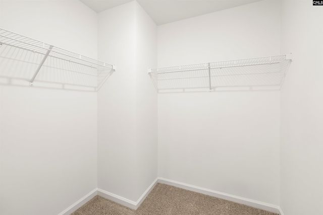 222 Boseman Road, Irmo, SC 29063