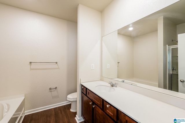 4625 WINCHESTER HILLS WAY, Clay, AL 35215