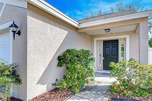 24640 SIENA DRIVE, Lutz, FL 33559