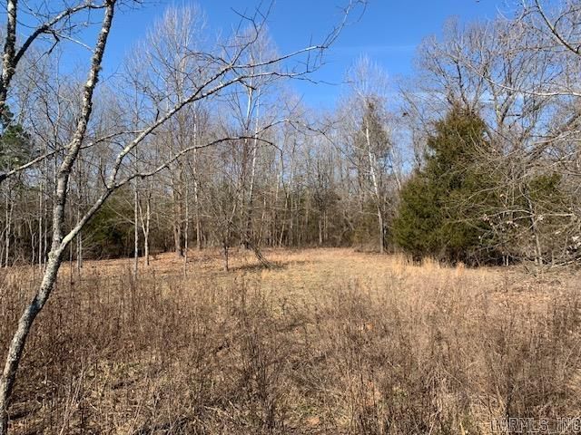 531 Peter Martin Hill Road, Cave City, AR 72521