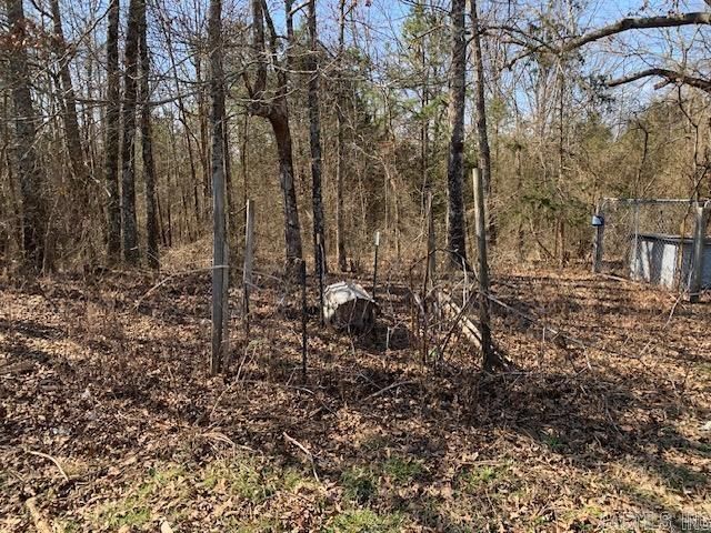 531 Peter Martin Hill Road, Cave City, AR 72521