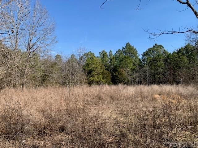 531 Peter Martin Hill Road, Cave City, AR 72521