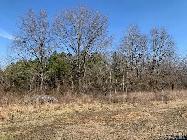 531 Peter Martin Hill Road, Cave City, AR 72521