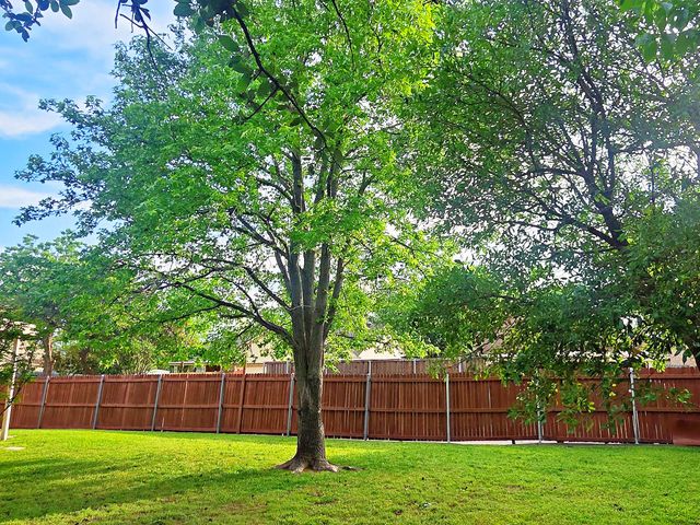 7124 Don Gomez Lane, Garland, TX 75043